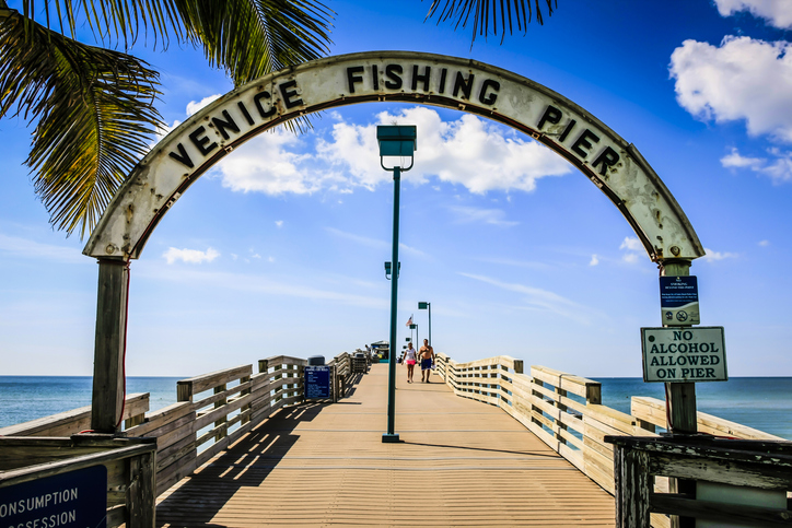 Panoramic Image of Venice, Florida